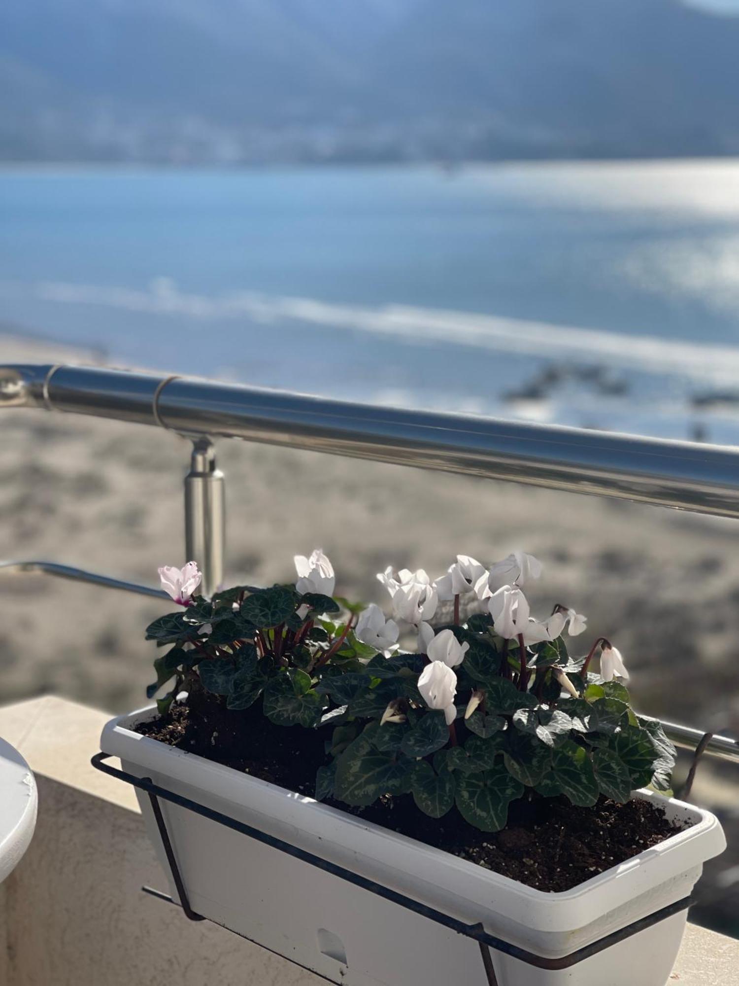 Seaview Apartments Rental Vlora Kültér fotó
